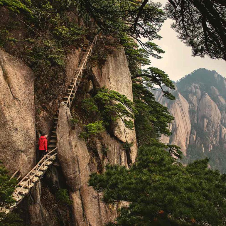 ladder